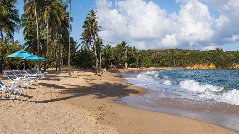 A Day at Mayo Beach Park: Discover Serenity and Fun