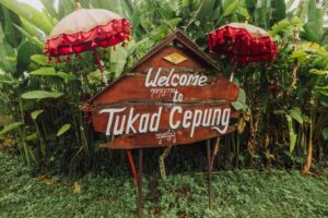 travelwithdiary-Tukad Cepung Waterfall